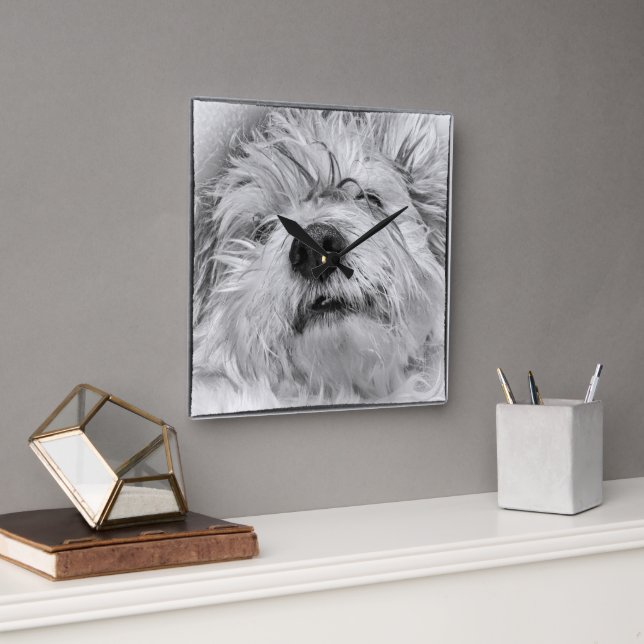Horloge Carrée Chien de Coton de Tulear (Bureau)