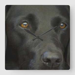 Horloge Carrée Chien noir du Labrador