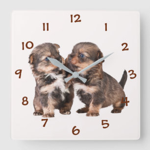 Horloge Carrée Chiots mignons de Yorkshire