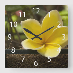 Horloge Carrée Clock Plumeria