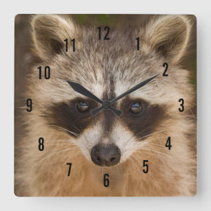 Horloge Carrée Clock Raccoon