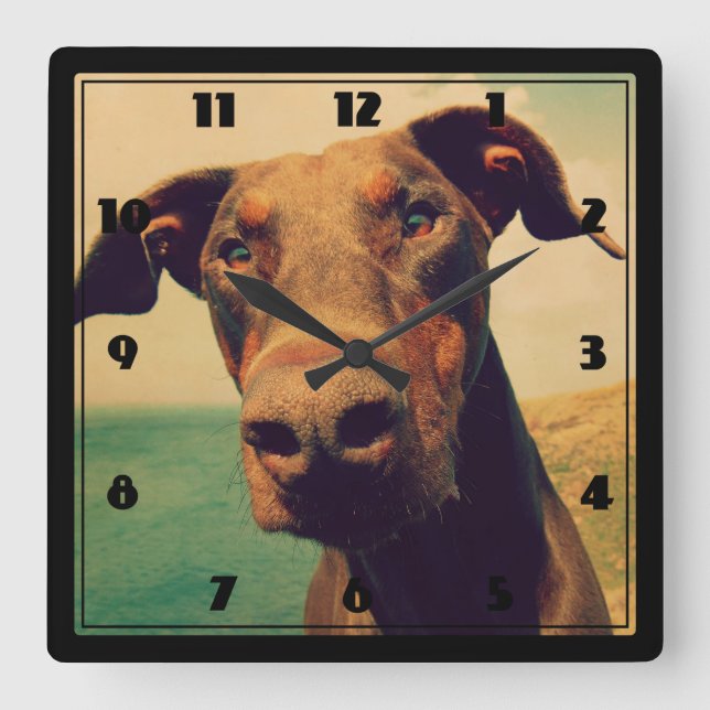 Horloge Carrée Closeudo drôle d'un chien Doberman naturel (Recto)