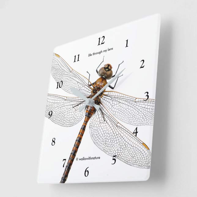 Horloge Carrée Closeuse d'une libellule de Darner du Canada (Angle)