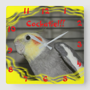 Horloge Carrée Cockatiel Wall Clock
