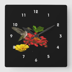Horloge Carrée Colibri sur Zinnias