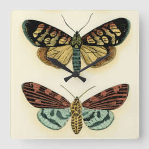 Horloge Carrée Collection Papillons par Chariklia Zarris