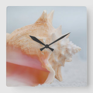 Horloge Carrée Conque Shell la Floride