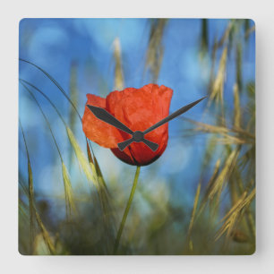 Horloge Carrée Coquelicot rouge
