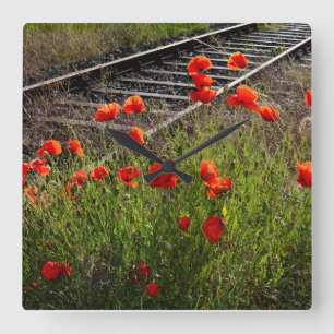 Horloge Carrée Coquelicot sauvage 