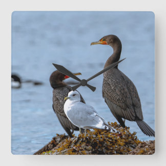 Horloge Carrée Cormorants et mouettes