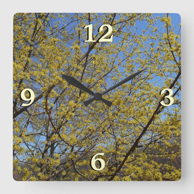 Horloge Carrée Cornelian Cherry (Recto)