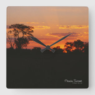 Horloge Carrée Coucher de soleil Acacia