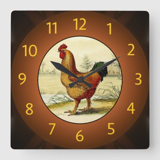 Horloge Carrée Cuisine Gallus Domesticus (Coq) - (Recto)