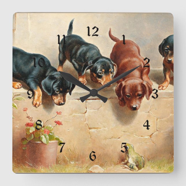 Horloge Carrée Curieux Chiots Dachshund et une grenouille (Recto)