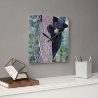 Cute Bear Cub Tree Ou Votre Propre Photo Carré Wal