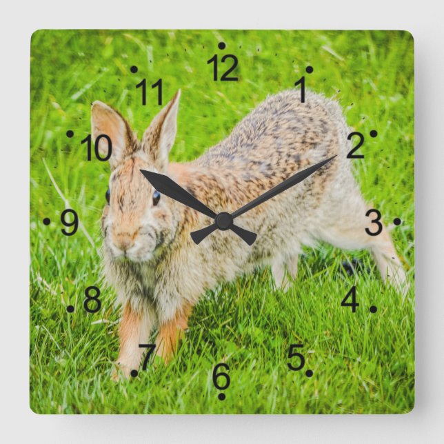 Horloge Carrée Cute Bunny Rabbit Wild Animals (Recto)