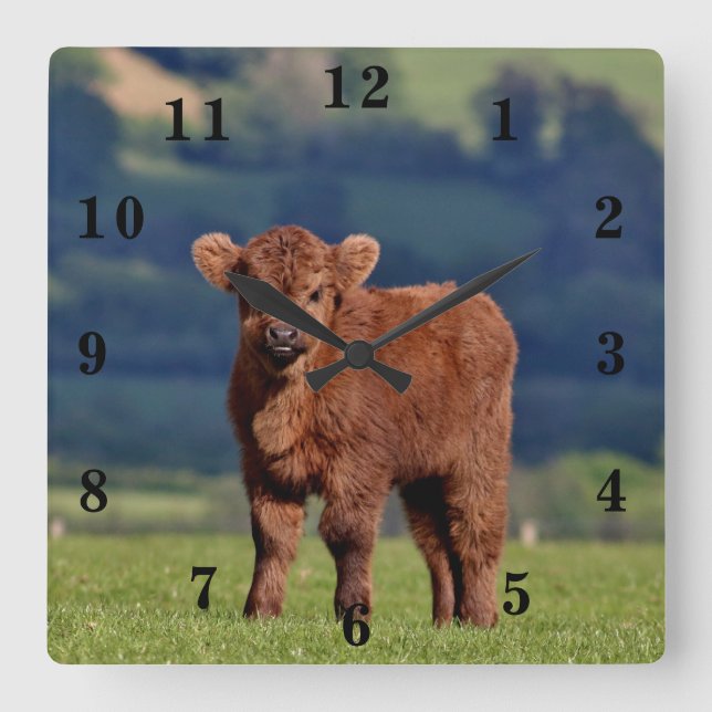 Horloge Carrée Cute Calf (Recto)