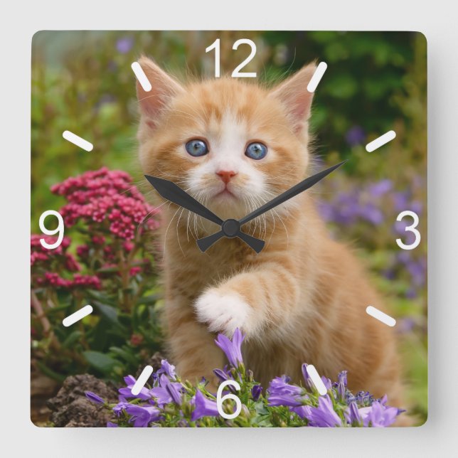 Horloge Carrée Cute Ginger Chat Kitten dans le jardin Carte photo (Recto)