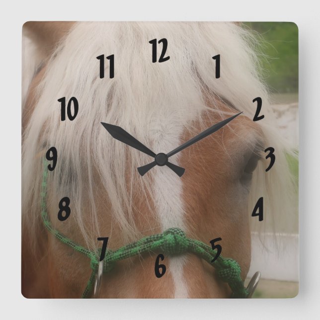 Horloge Carrée Cute Haflinger Cheval Visage Animal (Recto)