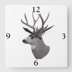 Horloge Carrée D27 Mule Deer Buck