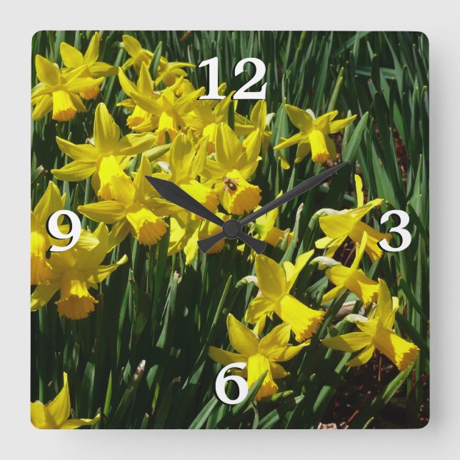 Horloge Carrée Daffodiles Jaunes I Fleurs De Printemps Cheveux (Recto)