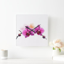 Dawn Bloom Orchid