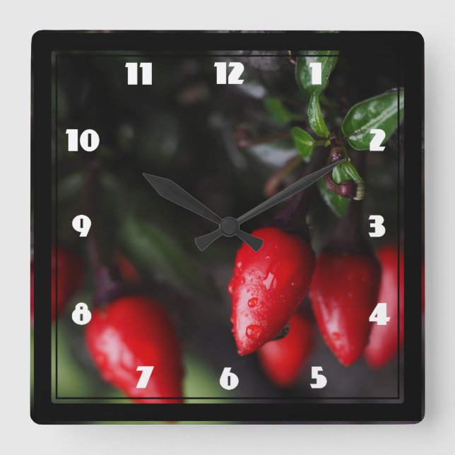 Horloge Carrée Des Red Hot Garden Salsa Chili Peppers. (Recto)