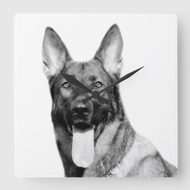 Horloge Carrée Dog german shepherd animal pet photo black (Recto)