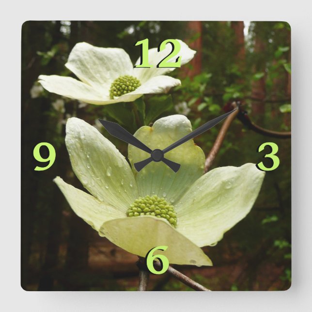 Horloge Carrée Dogwoods et séquoias dans le parc national Yosemit (Recto)