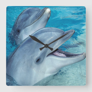 Horloge Carrée Dolphin clock