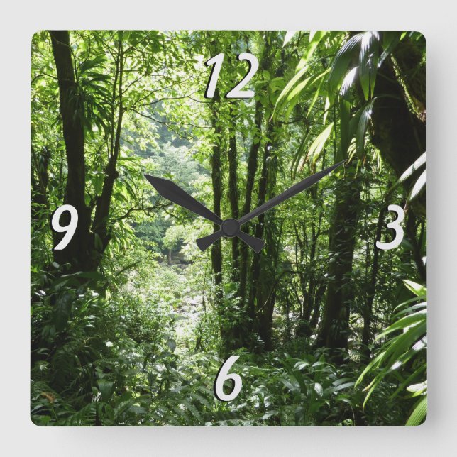 Horloge Carrée Dominicain Forêt de pluie II Vert tropical (Recto)