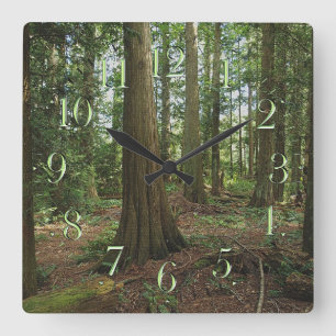 Horloge Carrée Earth Day Scenic Forest Nature-lovers Clock