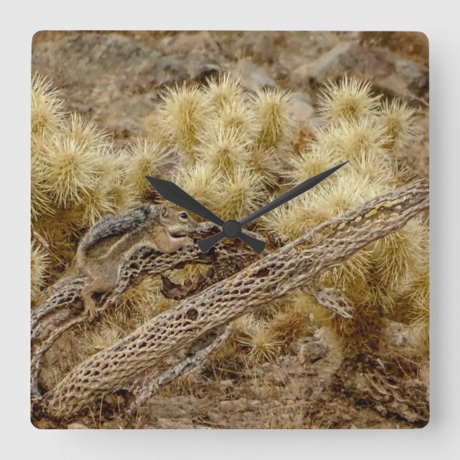 Horloge Carrée Écureuil du désert sur Cholla Cactus Skeleton (Recto)