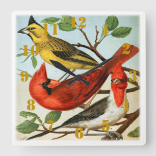Horloge Carrée Elegant Cardinal Birds