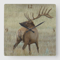 Elk Bull E6 en velours