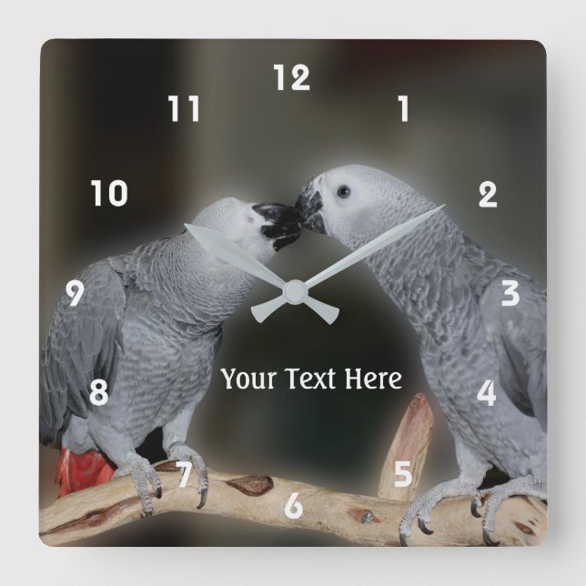 Horloge Carrée Embrasser le perroquet gris africain animal (Recto)