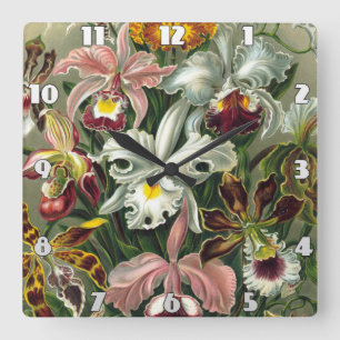 Horloge Carrée Ernst Haeckel Art Imprimer : Orchidae Oncidiums, t
