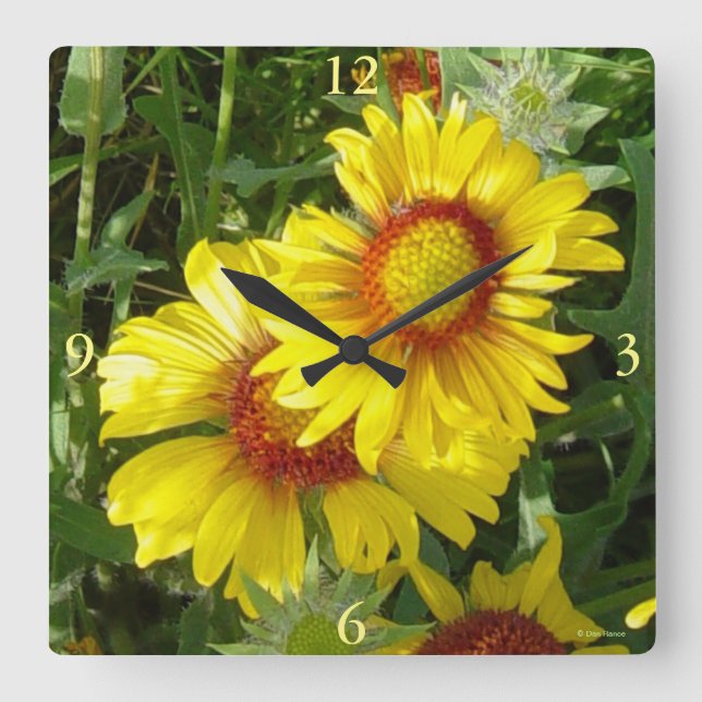 Horloge Carrée F6 Fleurs sauvages jaunes Gaillardia (Recto)
