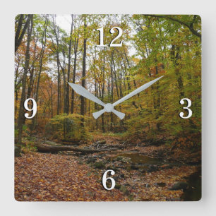 Horloge Carrée Fall Creek à Laurel Hill State Park Pennsylvanie