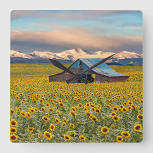 Horloge Carrée Farms   Field