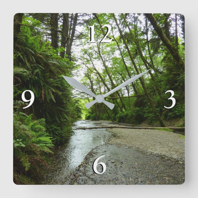 Horloge Carrée Fern Canyon II au parc national Redwood (Recto)