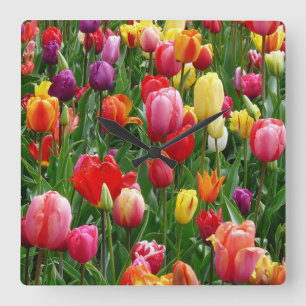 Horloge Carrée Festival de Tulip