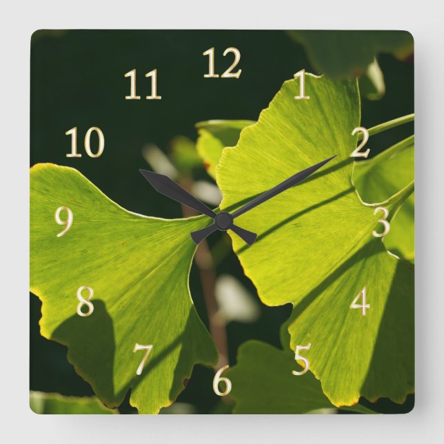 Horloge Carrée Feuilles Ginkgo (Recto)
