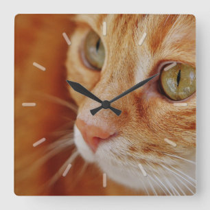 Horloge Carrée Fin orange mignonne de visage de chat tigré