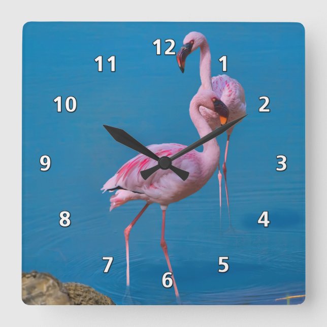 Horloge Carrée Flamants roses roses au lac (Recto)