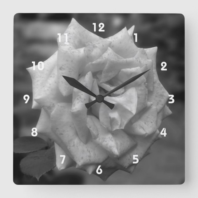 Horloge Carrée Fleur de rose noire et blanche (Recto)