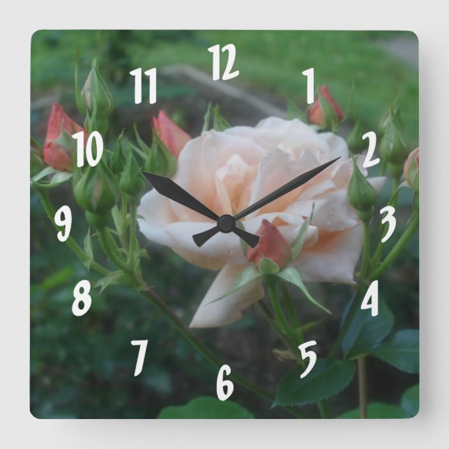 Horloge Carrée Fleur Rose de pêche (Recto)