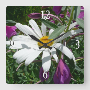 Horloge Carrée Fleur sauvage Daisy et Fireweed