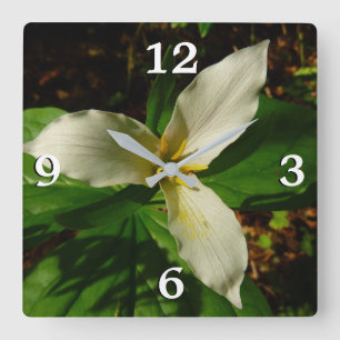 Horloge Carrée Fleur sauvage de printemps blanc Trillium Flower