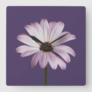 Horloge Carrée Fleurs Blancs et marguerites violettes